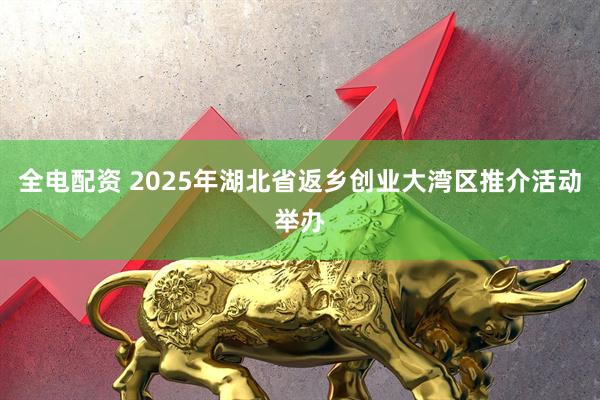 全电配资 2025年湖北省返乡创业大湾区推介活动举办