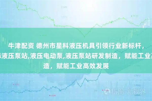 牛津配资 德州市星科液压机具引领行业新标杆，专注非标液压泵站,液压电动泵,液压泵站研发制造，赋能工业高效发展